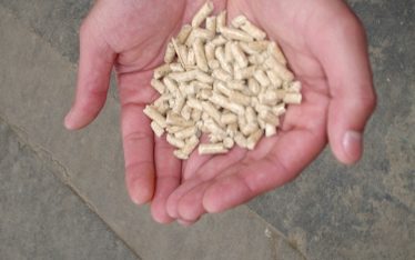 Il pellet rispetta l'ambiente